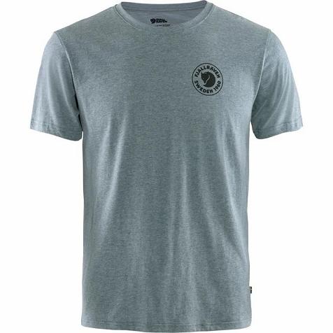 Fjallraven 1960 Logo T-Shirt Blue Singapore For Men (SG-606712)